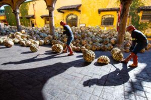 Fábrica La Rojeña Jose Cuervo
