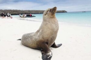 viaje en crucero a islas Galápagos