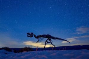 Dunas de Yeso en Cuatrociénegas