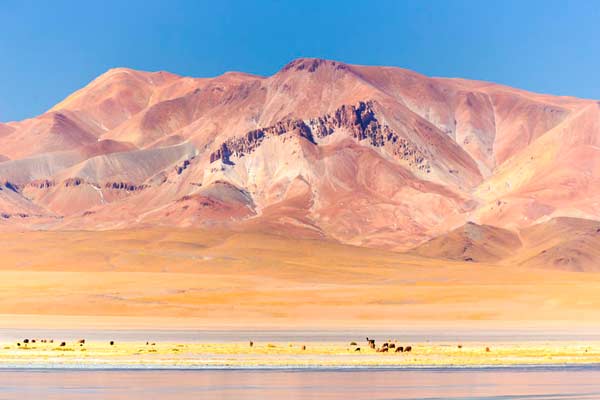 cuándo viajar a San Pedro de Atacama