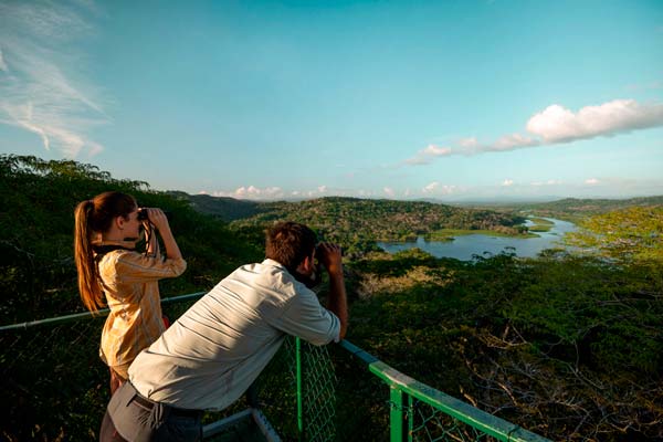 Panamá: Sus asombrosos espectáculos de biodiversidad lo convierten en un país único 10 espectáculos de biodiversidad en Panamá