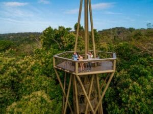 torre de observación Rainforest Discovery Center
