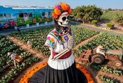 La Catrina Tlacualera en Milpa Alta